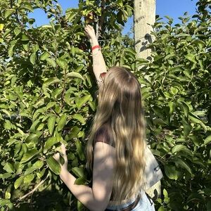 Meet your Posher, Ashley